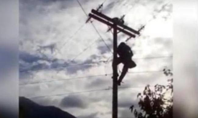 Υπάλληλος της ΔΕΔΔΗΕ σώζει γάτα και η περιγραφή «λυγίζει» το διαδίκτυο (βίντεο)